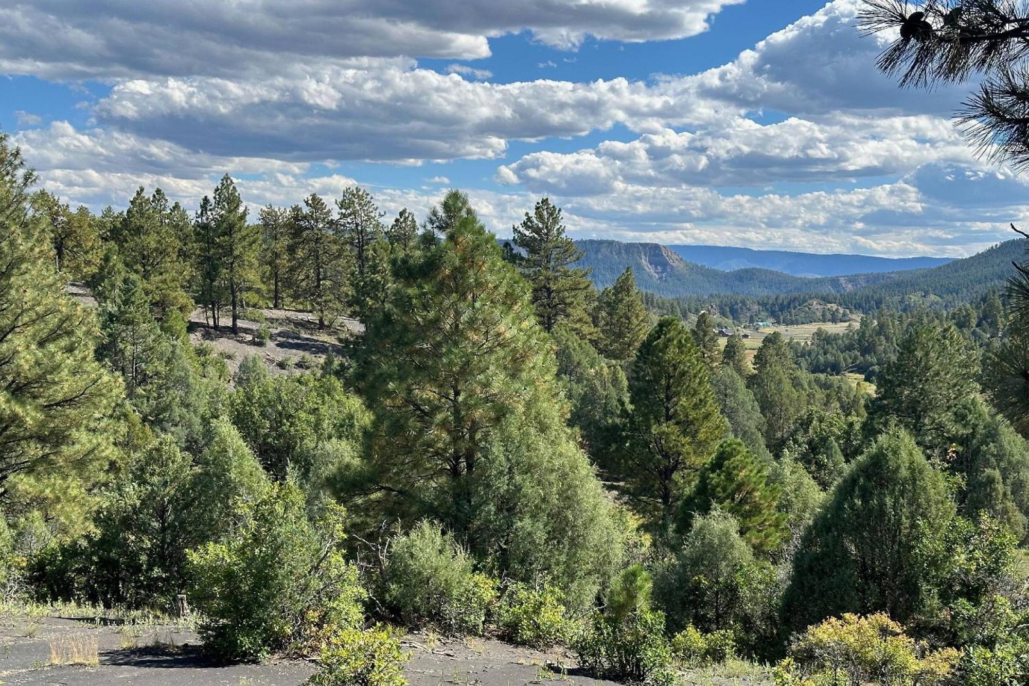 201 Crestone Pl. Villa Pagosa Springs Exterior photo